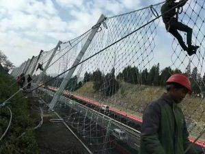 山體護坡網